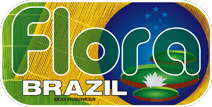Logo Flora eco buziness